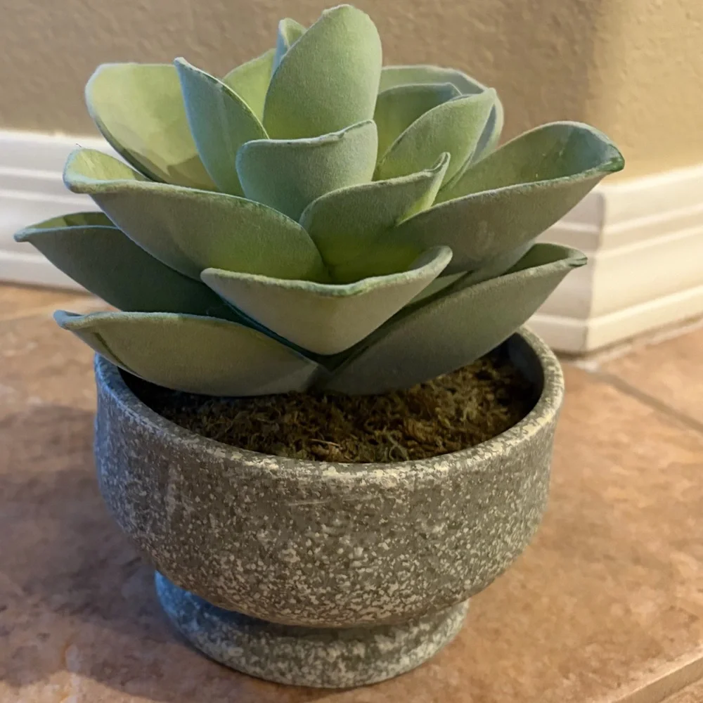 Pottery Barn Atlantis Faux Succulent in Bowl, Like New